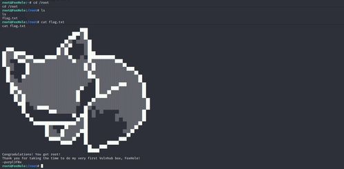 VulnHub靶场实战指南 Foxhole 1.0.1——从渗透到提权的技术拆解